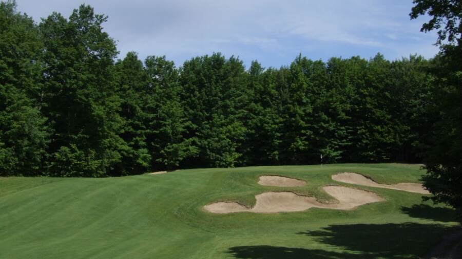 Black Forest at Wilderness Valley