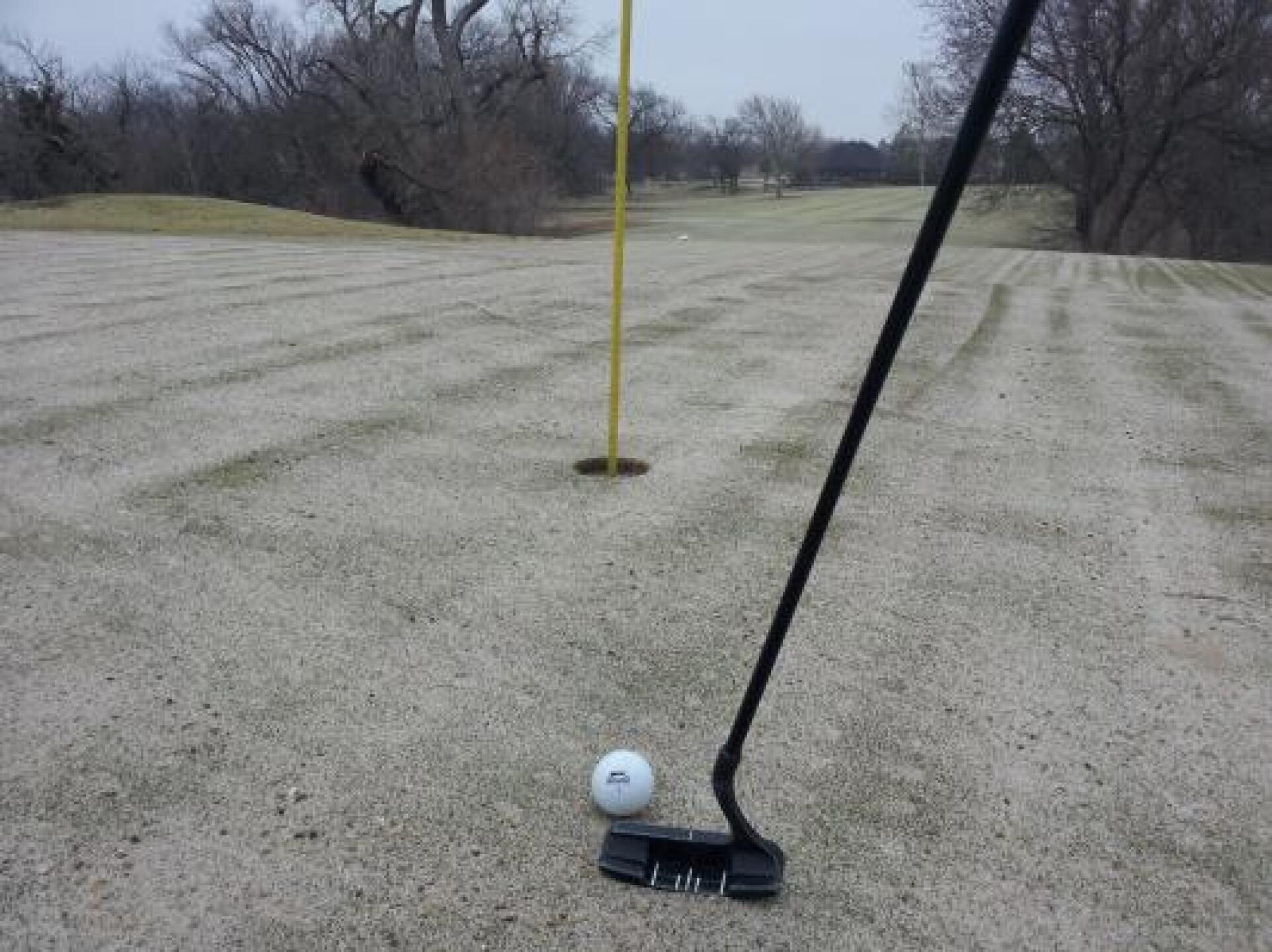 Sandy greens (Photo submitted by Guppy2six on 03/27/2013)