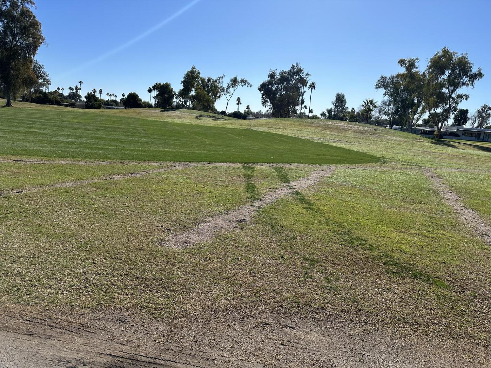 (Photo submitted by Joe1358826 on 02/11/2024)