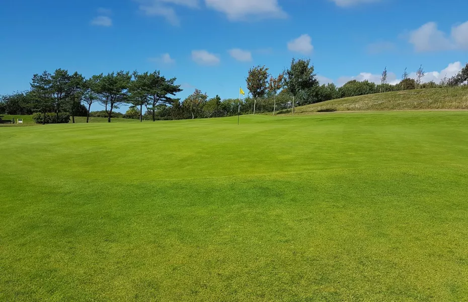 Ringenas GC - Yellow