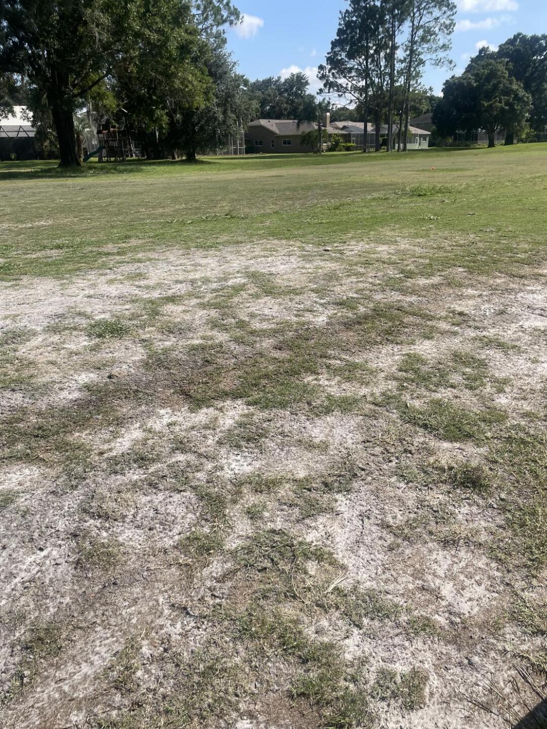 (Photo submitted by benf656 on 06/28/2023)