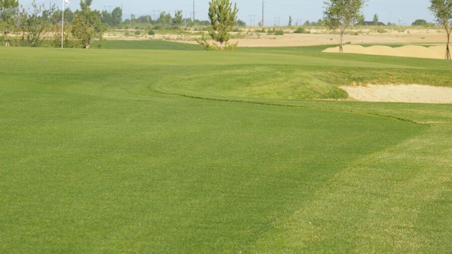 Falcon Crest GC - Freedom