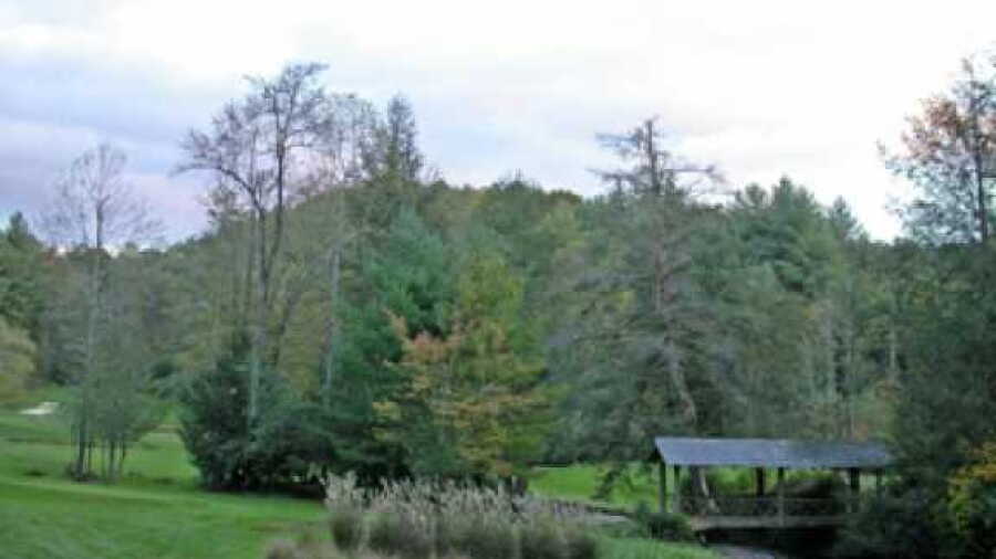 Falls CC