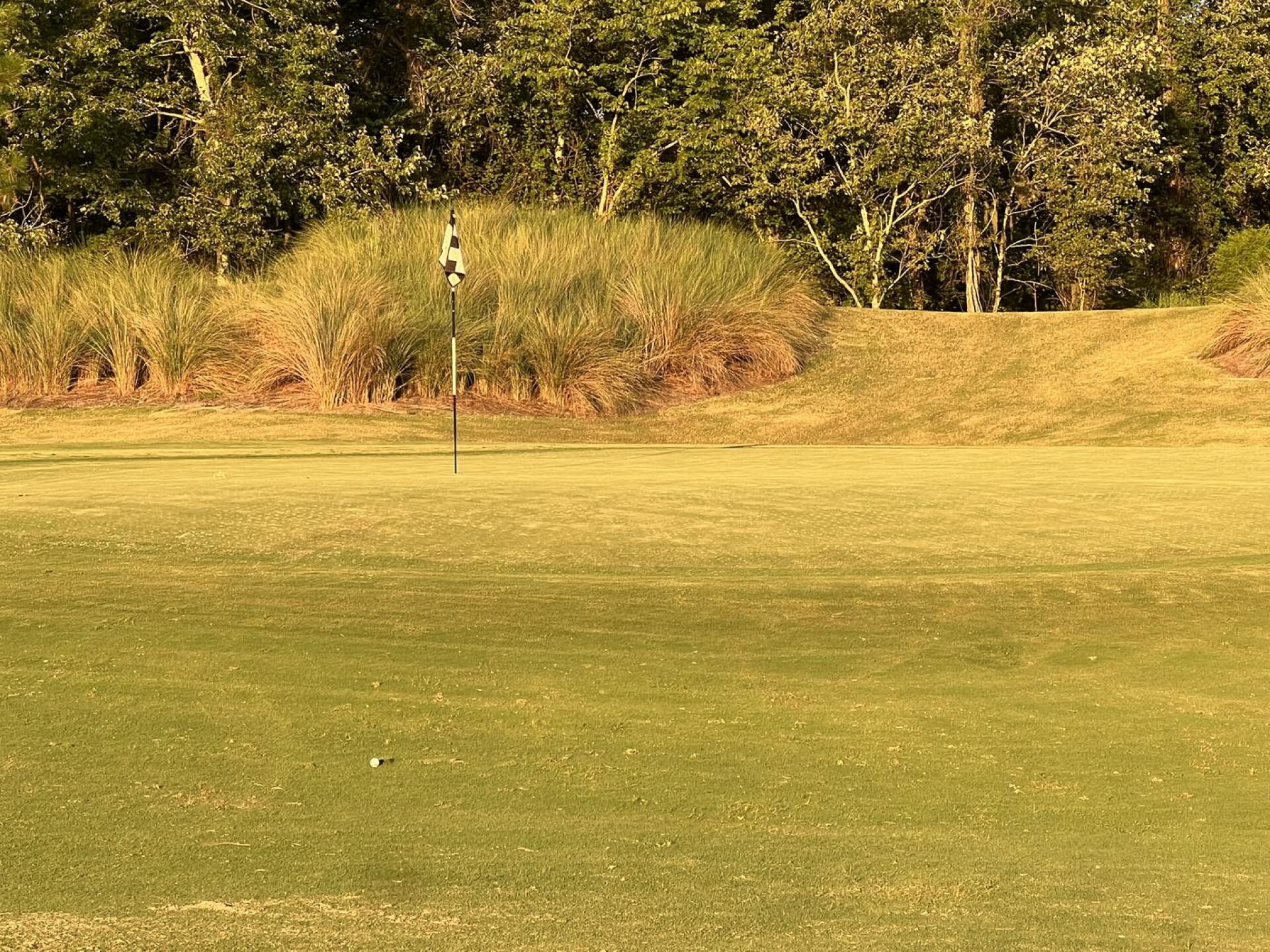 16th par 5 green (Photo submitted by JustaGOONER on 08/19/2024)