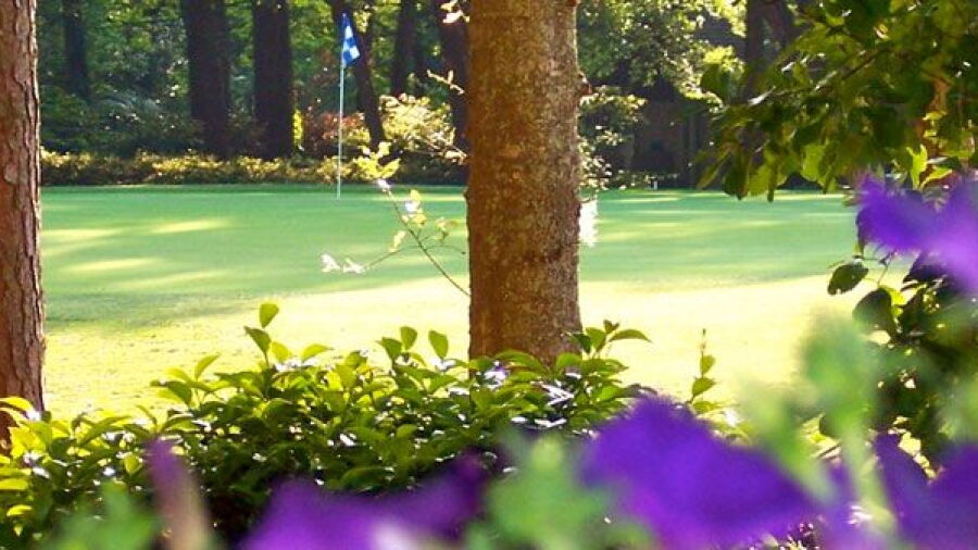 Dolphin Head GC