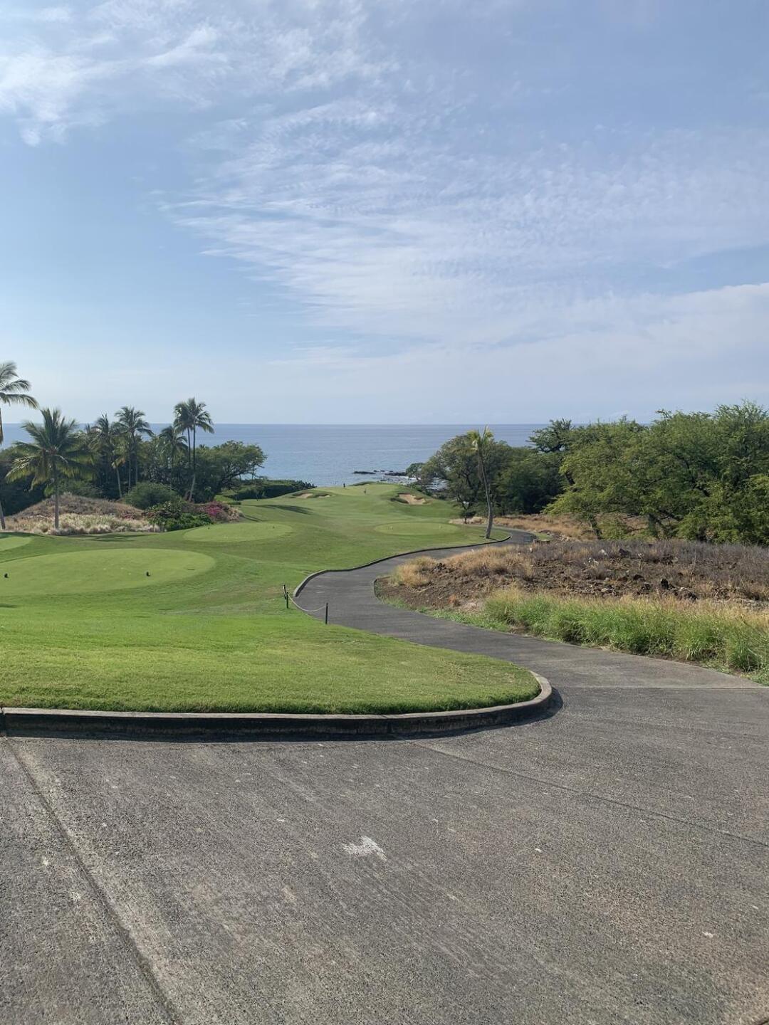 (Photo submitted by u1623910650 on 03/09/2022)