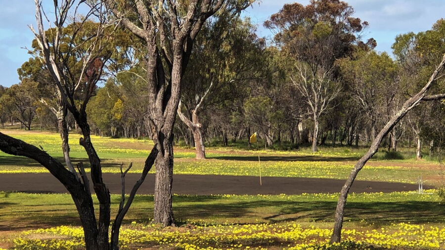 Kweda GC