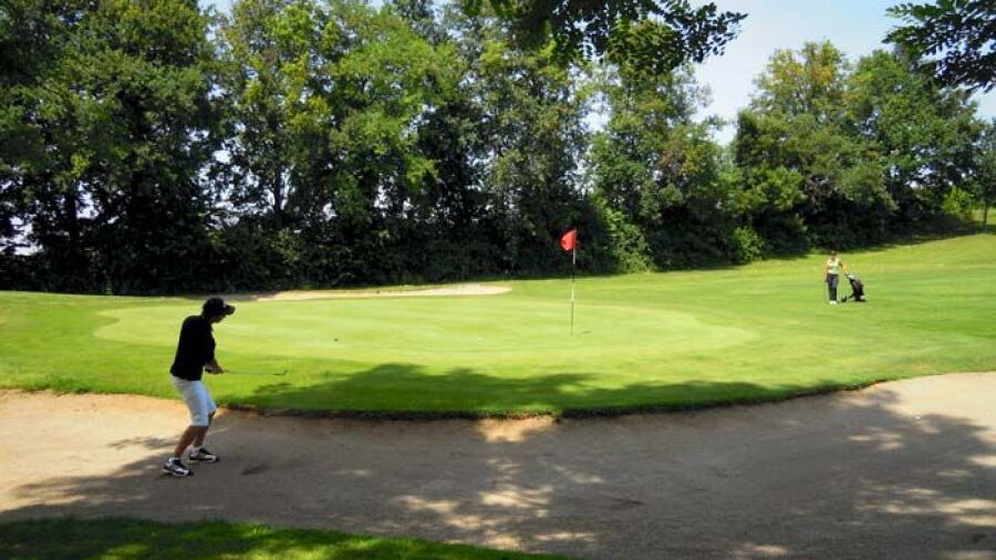 I Girasoli GC: #14