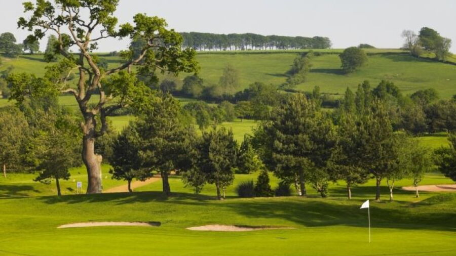 Tracy Park HCC