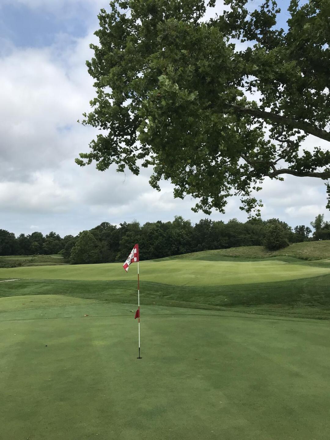 (Photo submitted by lcbgolf on 07/19/2021)