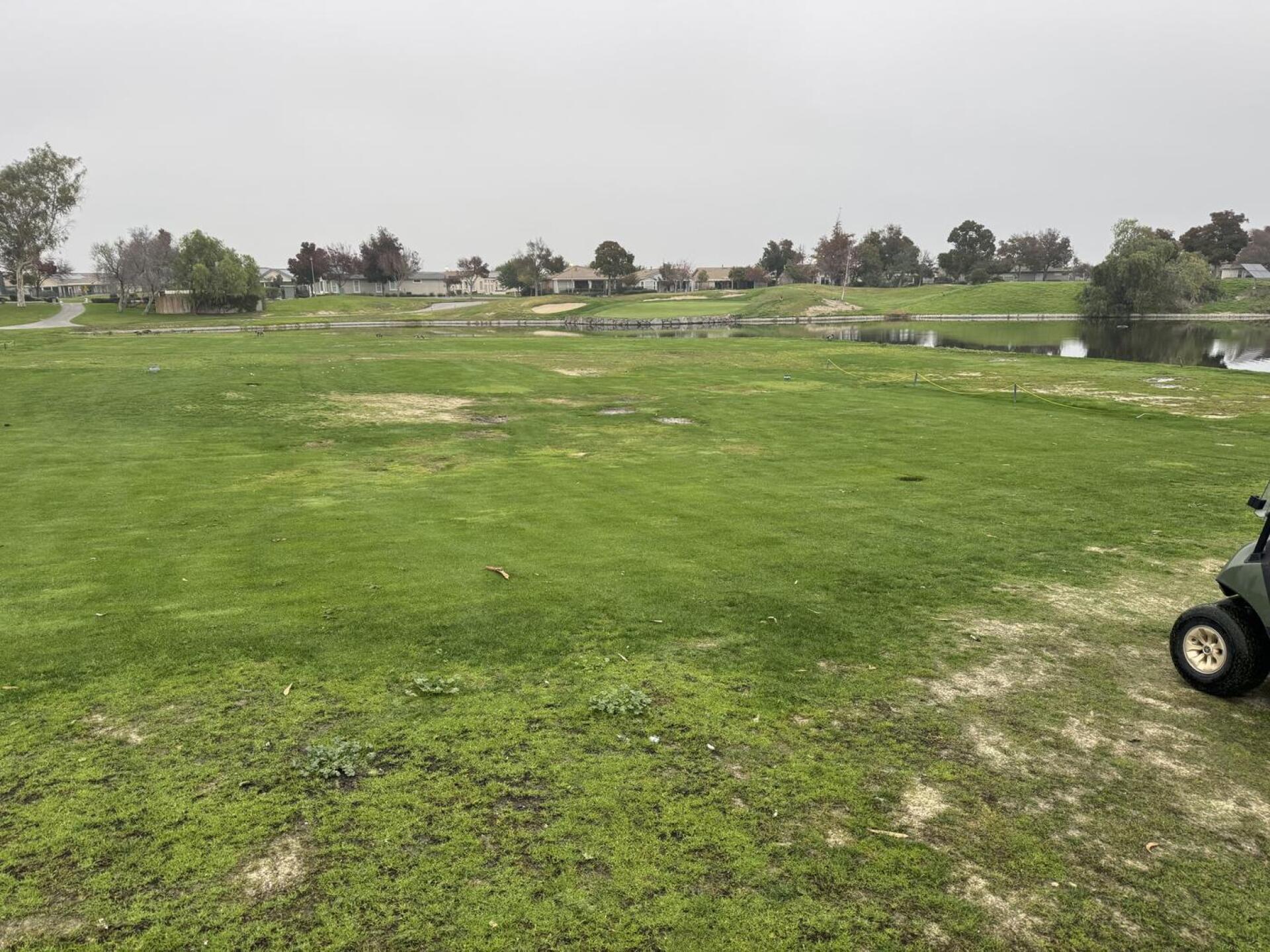 (Photo submitted by u000004182210 on 11/29/2025)