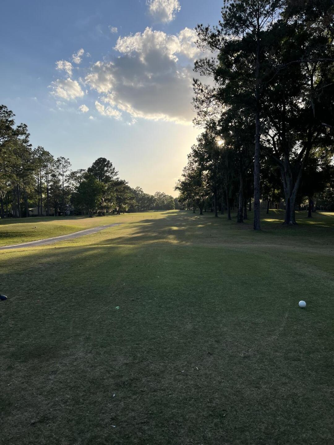 (Photo submitted by AdamB79 on 07/19/2024)