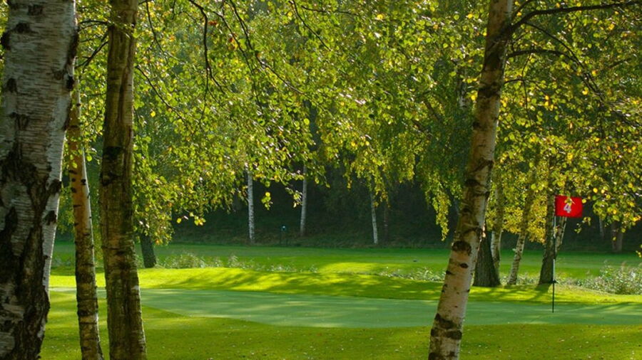 Saint Jorgen Park GC: #4