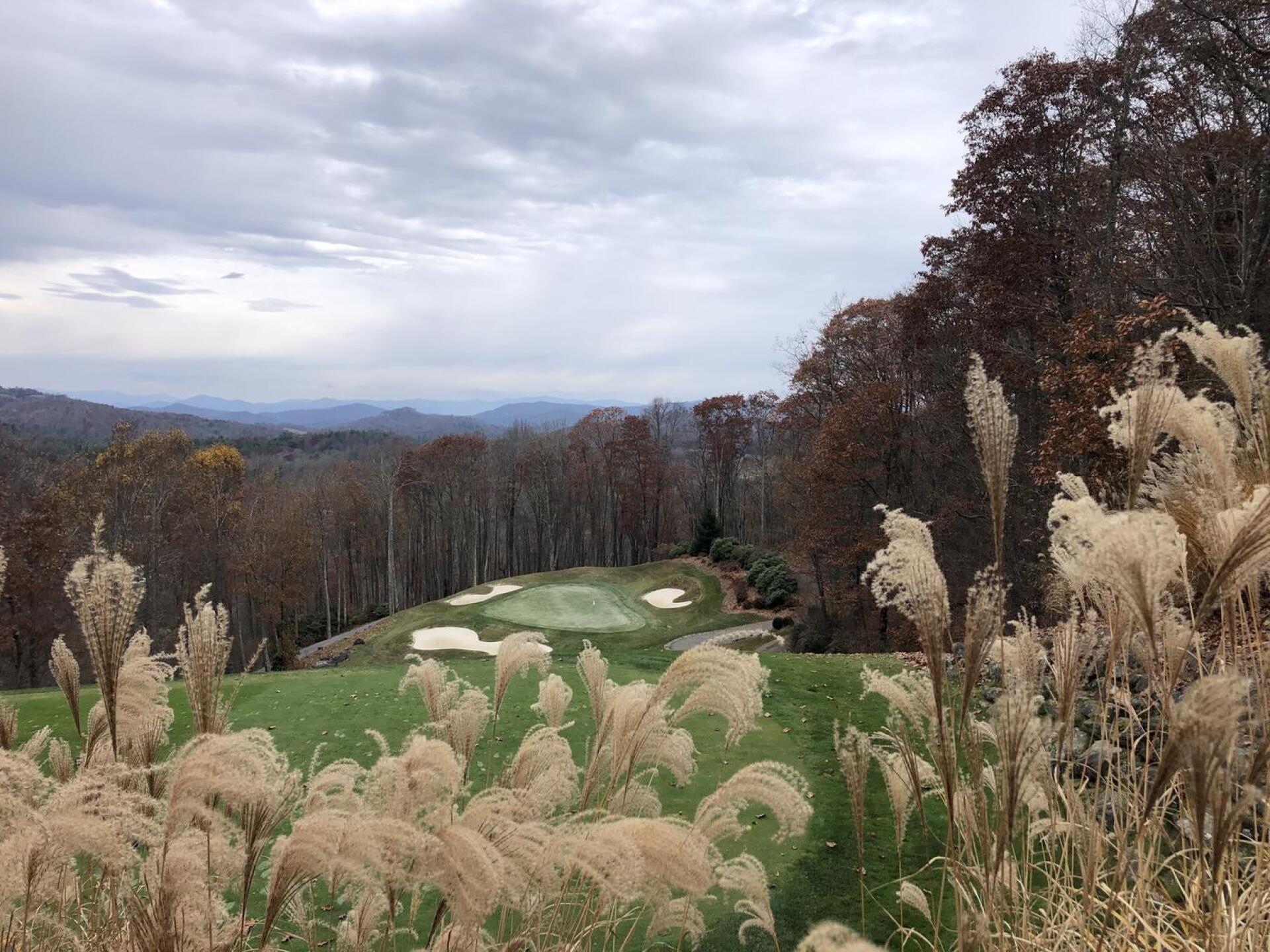 (Photo submitted by BrandonWebb on 11/05/2022)