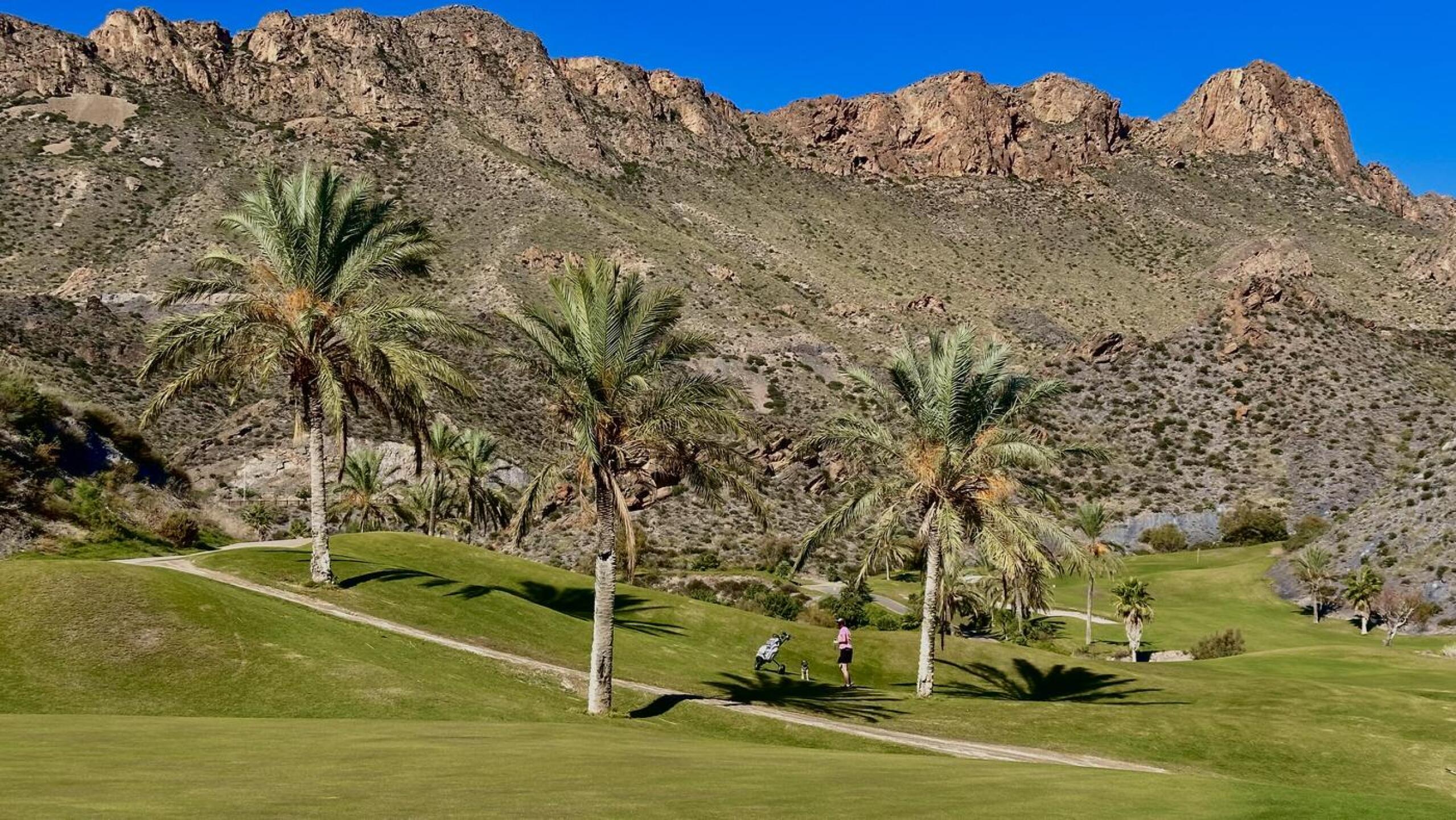 (Photo submitted by Oliwen on 01/05/2026)