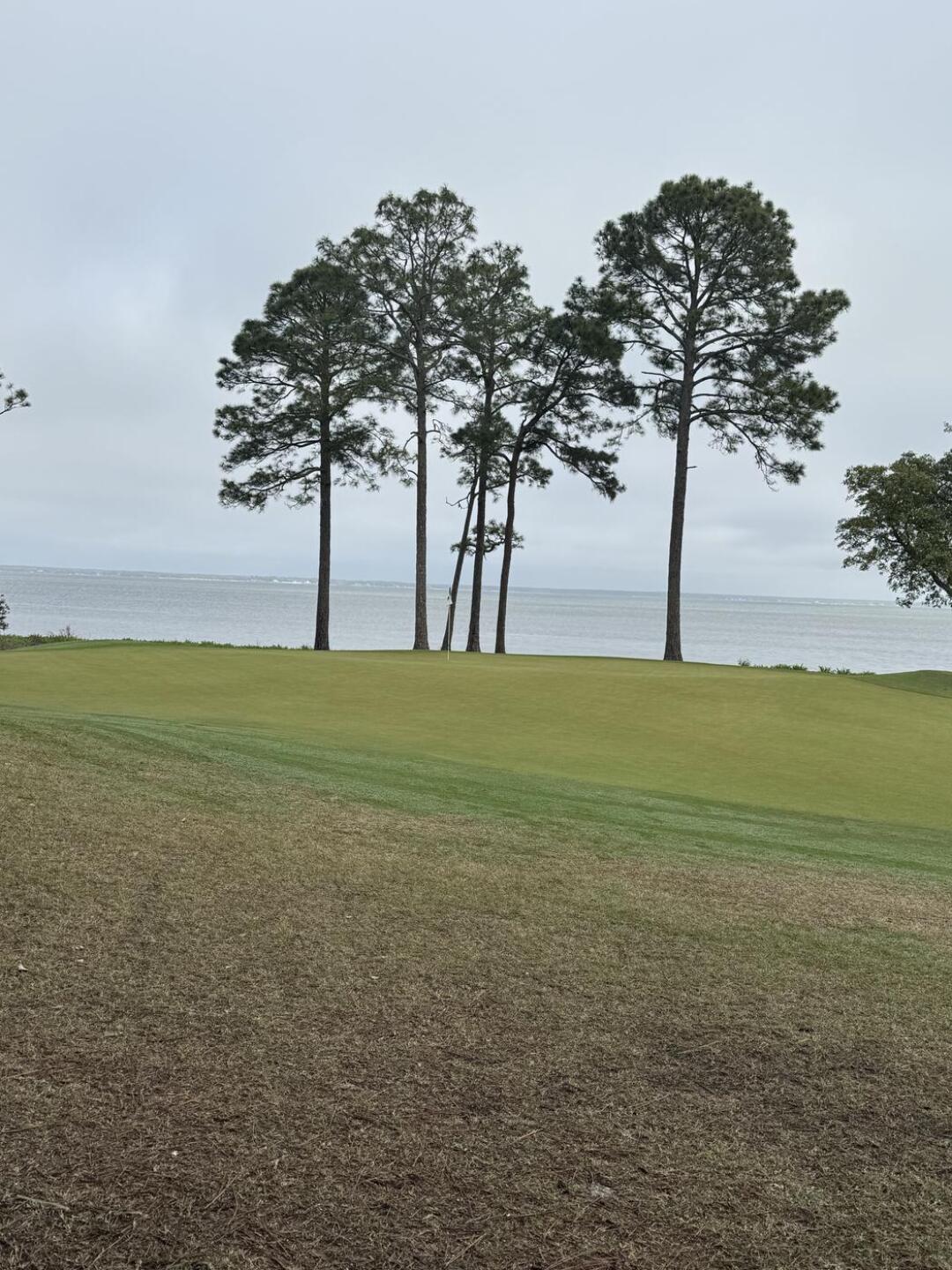 (Photo submitted by Milledgea2013 on 03/12/2026)