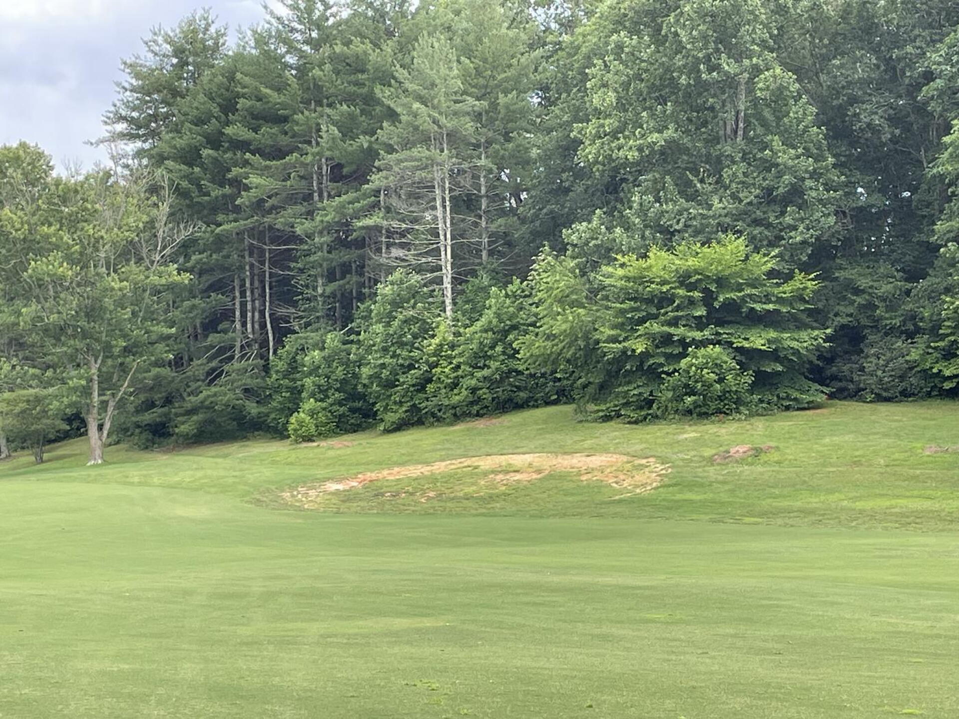 Fairway "bunker" (Photo submitted by nightranchers on 07/10/2023)