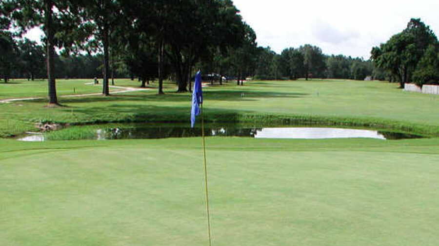 Tanglewood GCC