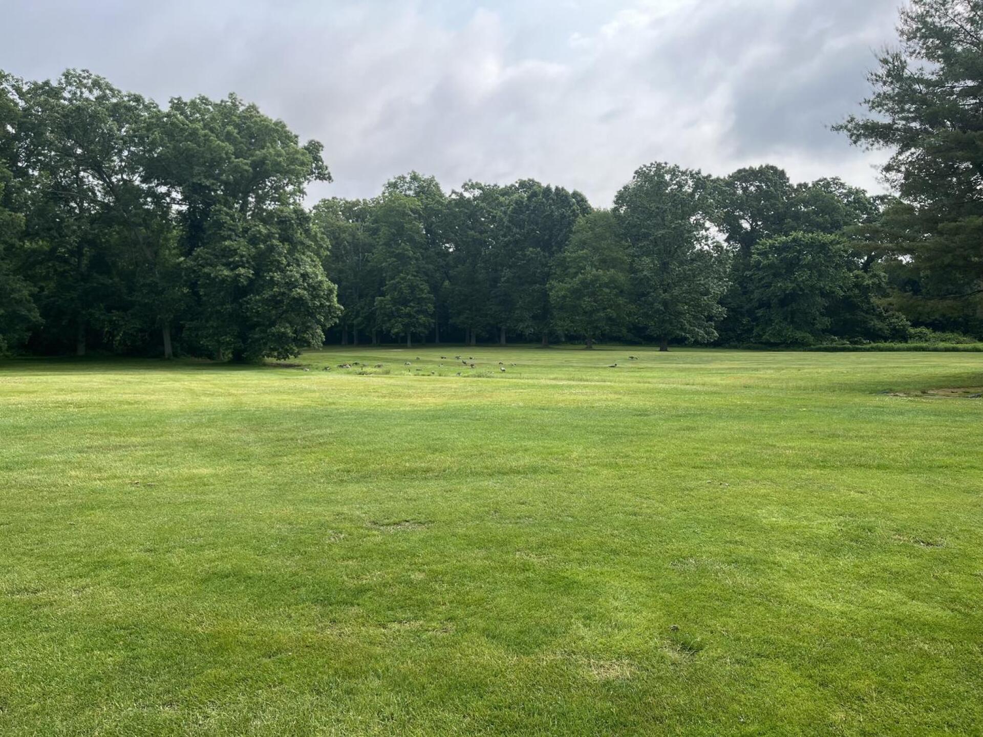 (Photo submitted by Pipingyaker on 06/27/2023)