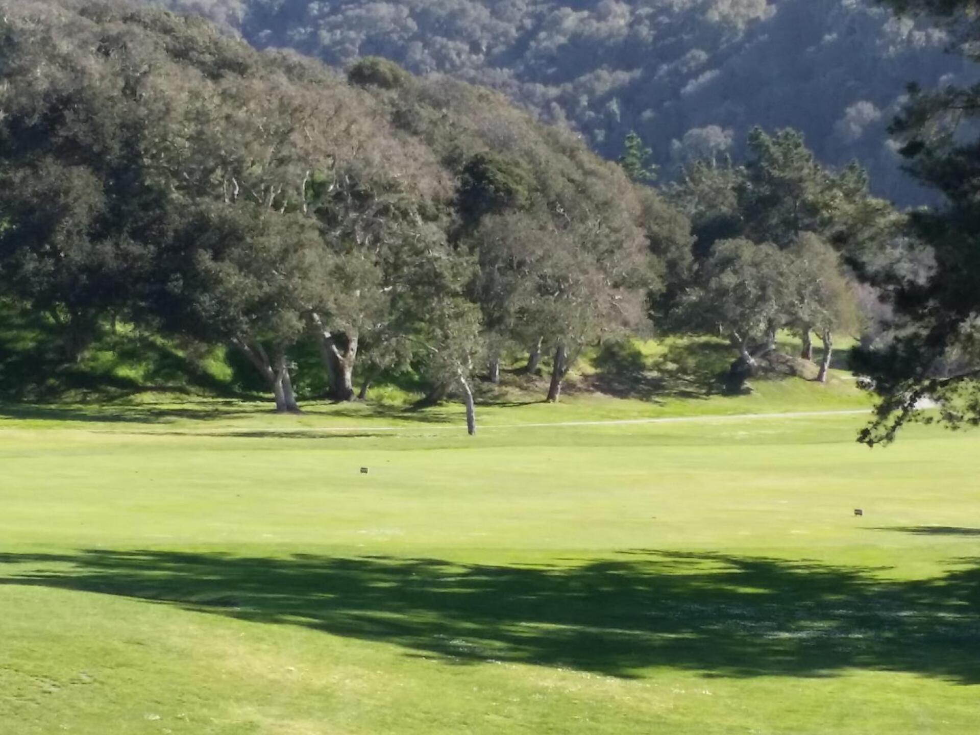 Picturesque as is the entire course. (Photo submitted by brovarnm on 05/02/2016)