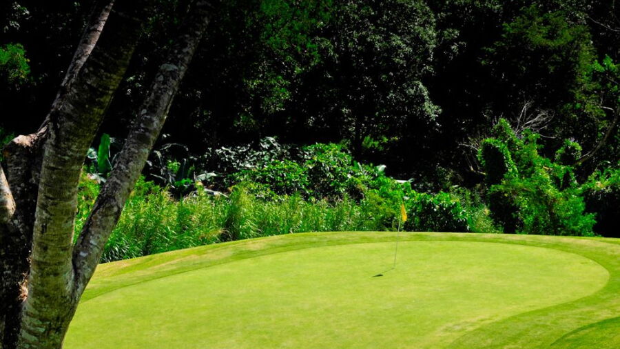 Forest Hills GCC