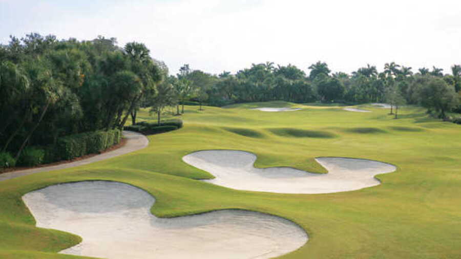 Addison Reserve CC - Trepidation: #8