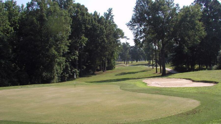 Shannon Greens GC: #2