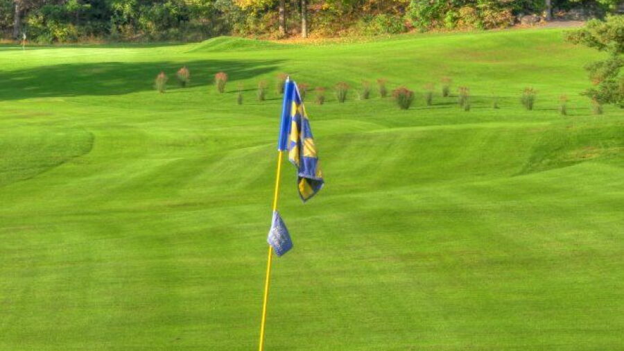 Terra Greens GC: #9