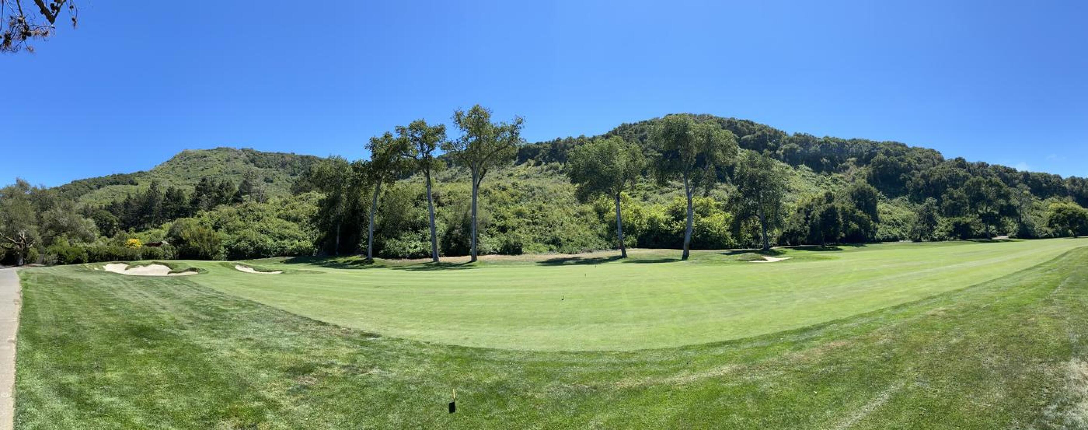 (Photo submitted by u000004943458 on 06/04/2021)