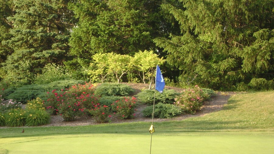 Blue at Bob O' Link GC: #9