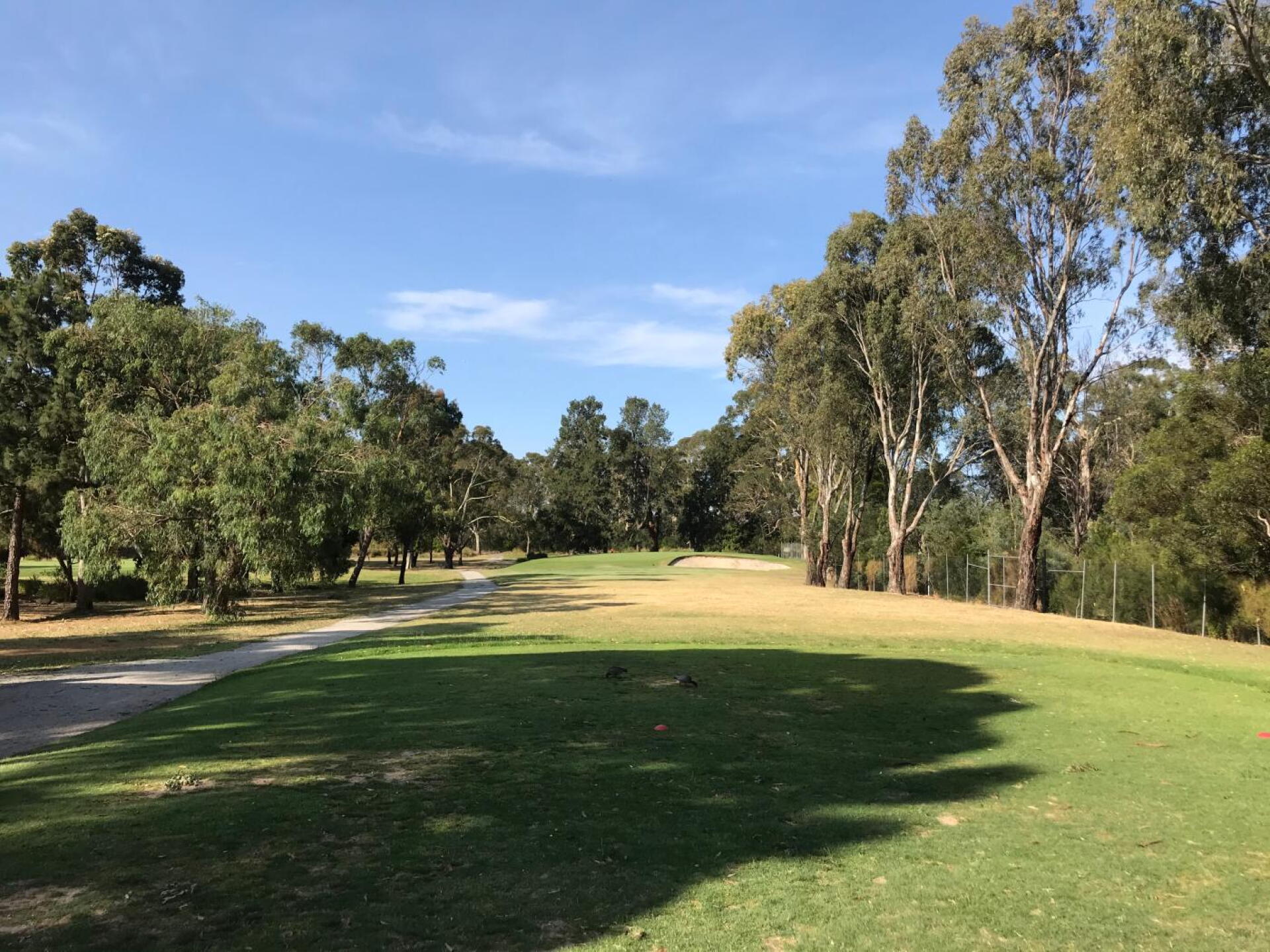 Par 3 7th hasn’t changed (Photo submitted by theglasseyegolfer on 01/02/2020)