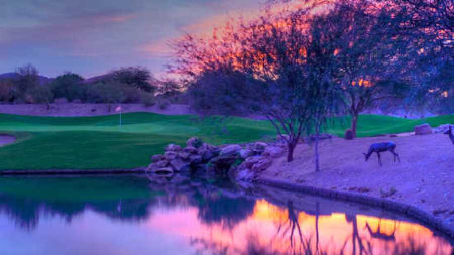 McDowell Mountain GC: #17