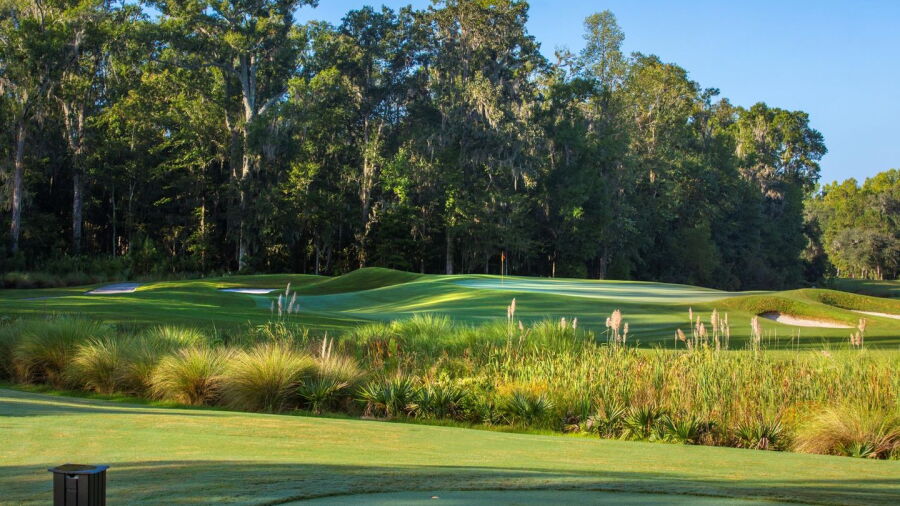 Hampton Hall Club: #17