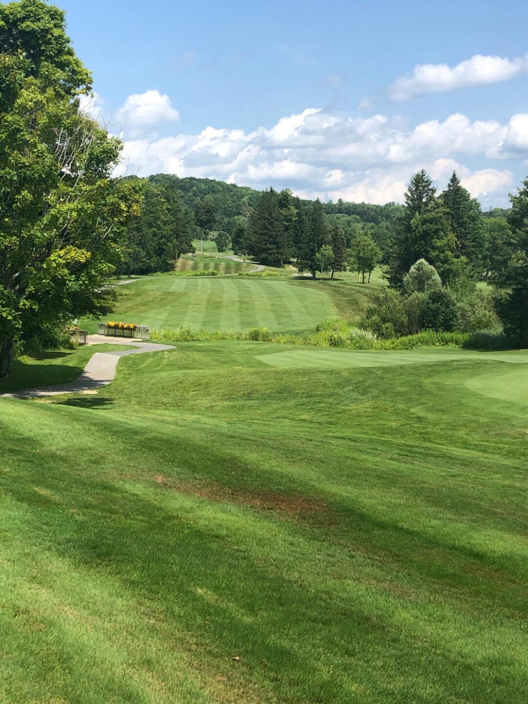 (Photo submitted by Jordan9748584 on 08/03/2019)