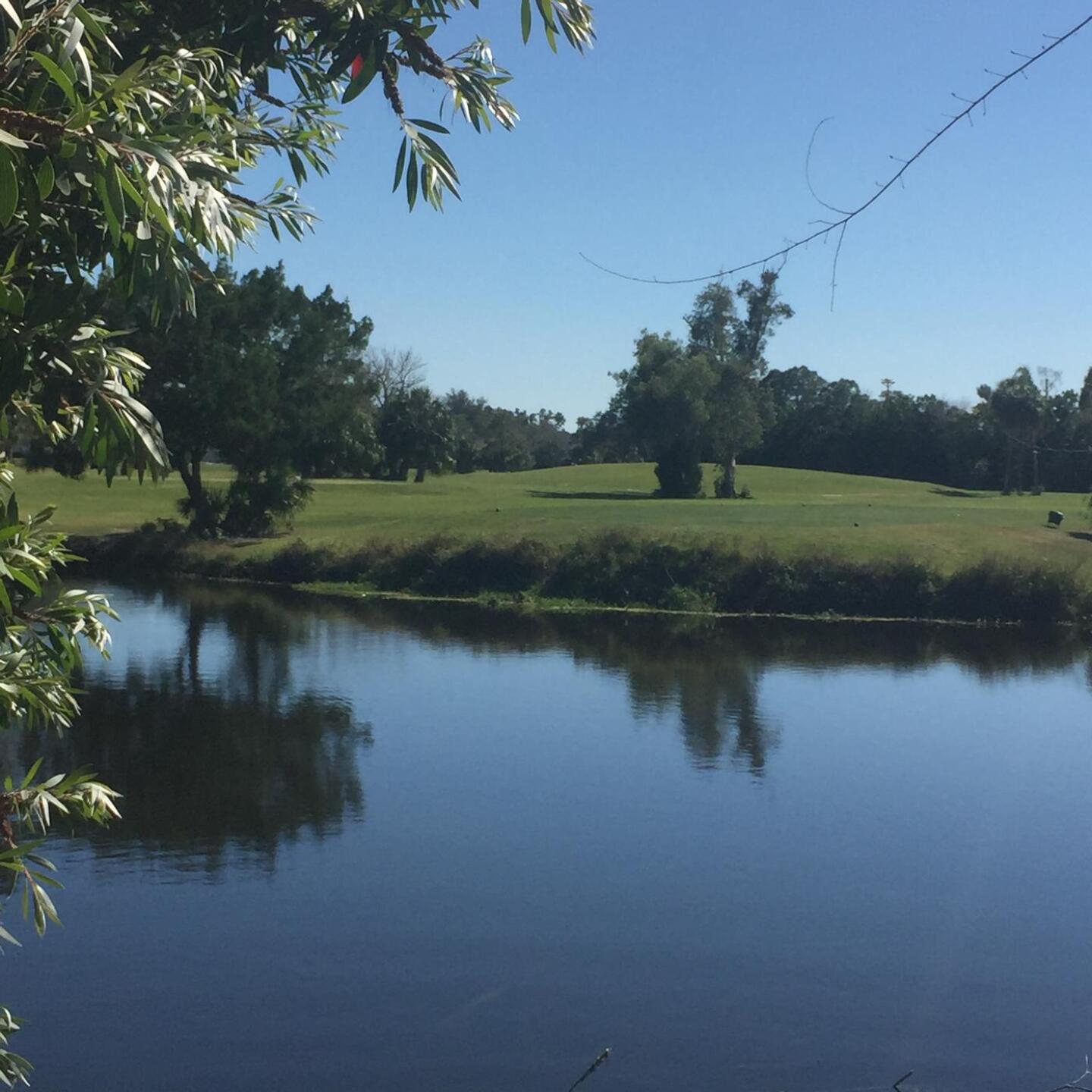 (Photo submitted by SkipPars on 02/25/2021)