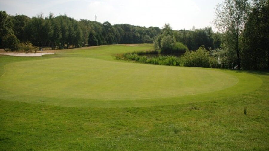 Welschap GC: #6