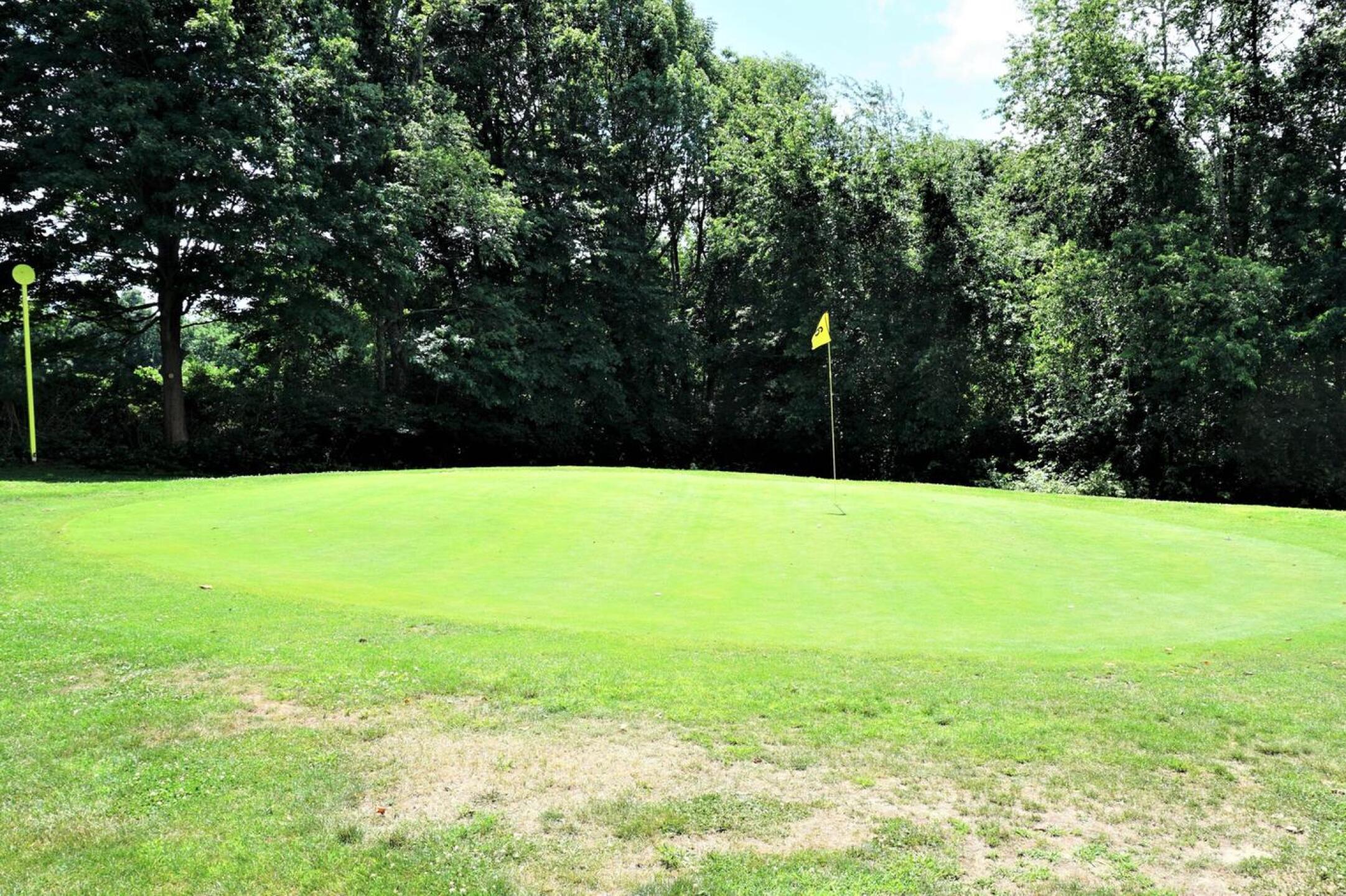 Green six: after 448-yard uphill climb, you'll reach this small green--typical of most at Vineyard Valley. (Photo submitted by AptlyLinked on 07/13/2020)
