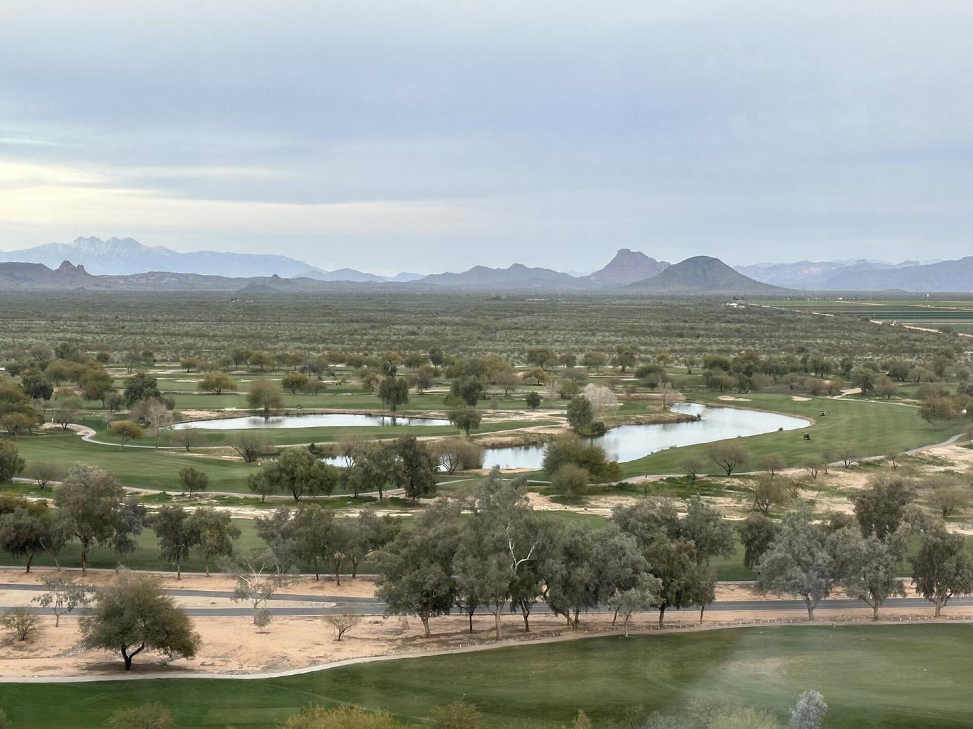 (Photo submitted by TonyFagan58 on 03/09/2023)