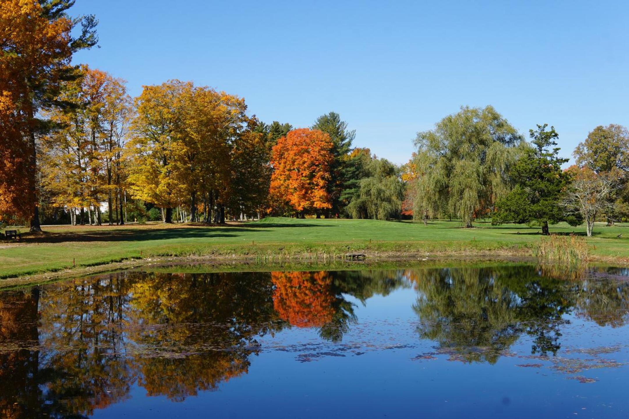 From the back tee, Chanticlair’s first hole plays over a pond. (Photo submitted by AptlyLinked on 10/20/2022)