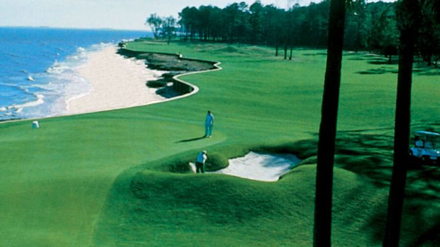 Melrose Club: palm trees on #18