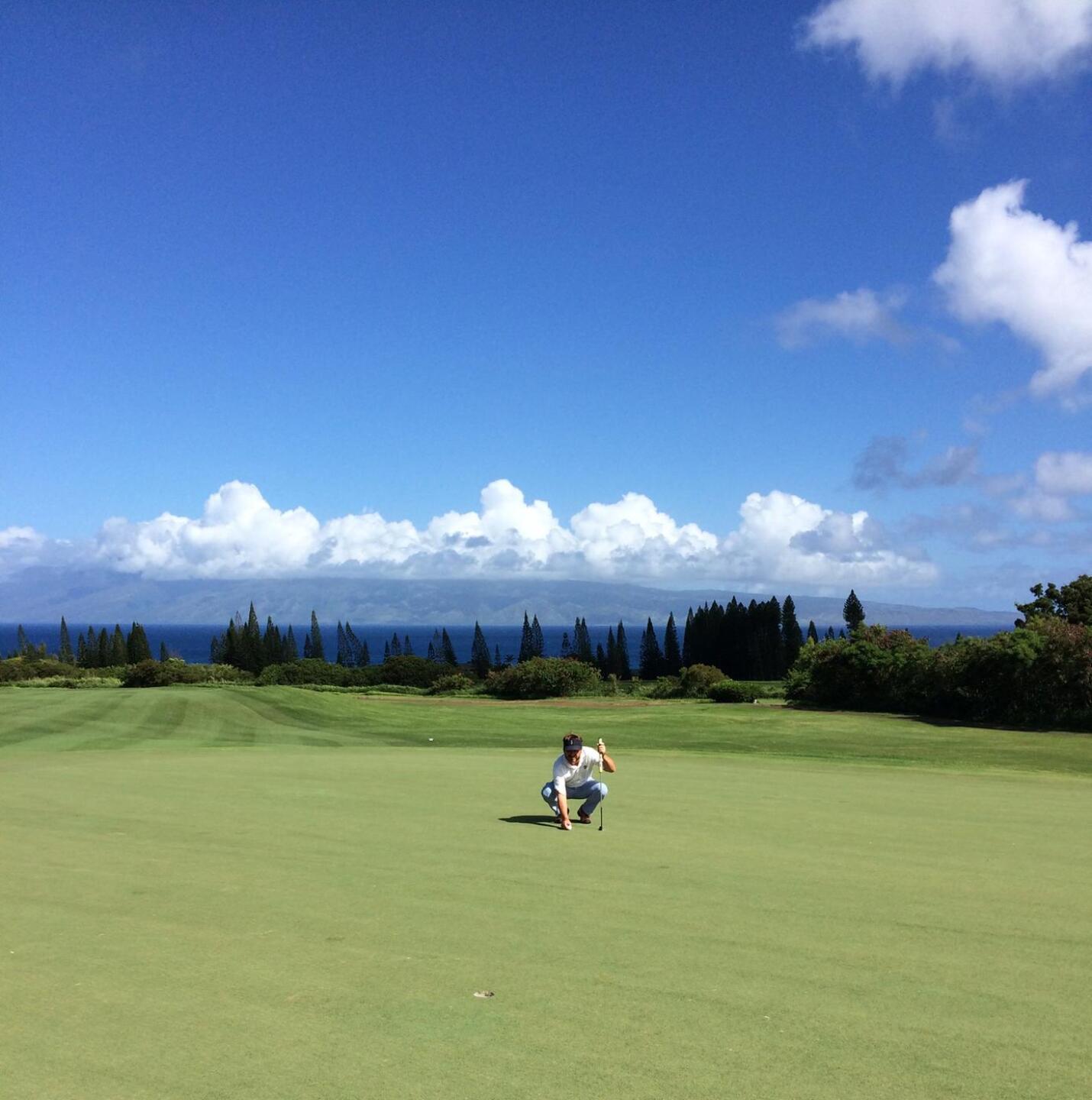 (Photo submitted by BrandonWebb on 01/01/2017)