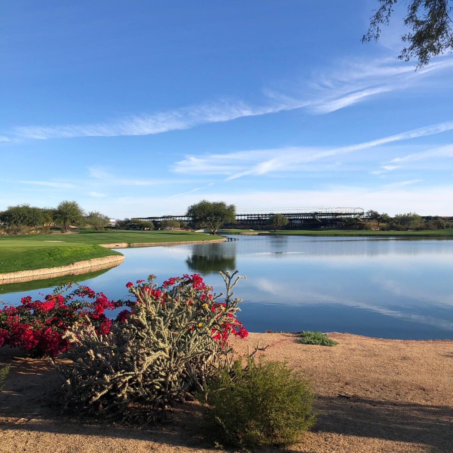 (Photo submitted by Shinjjang on 11/24/2019)