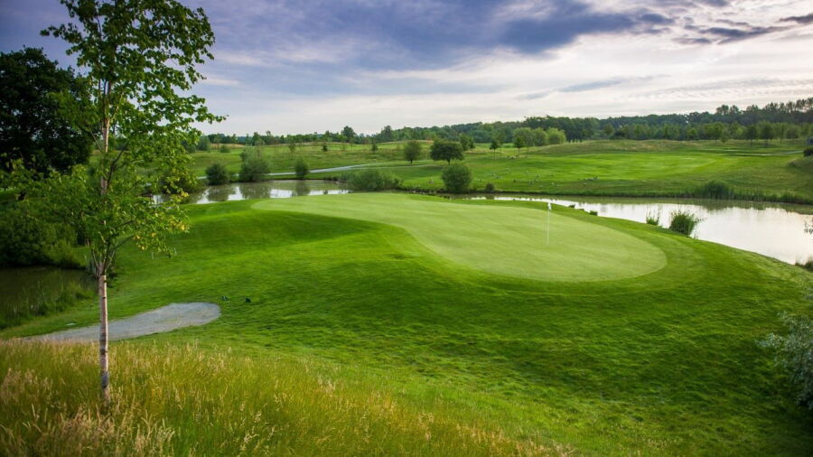 The Shire Masters course