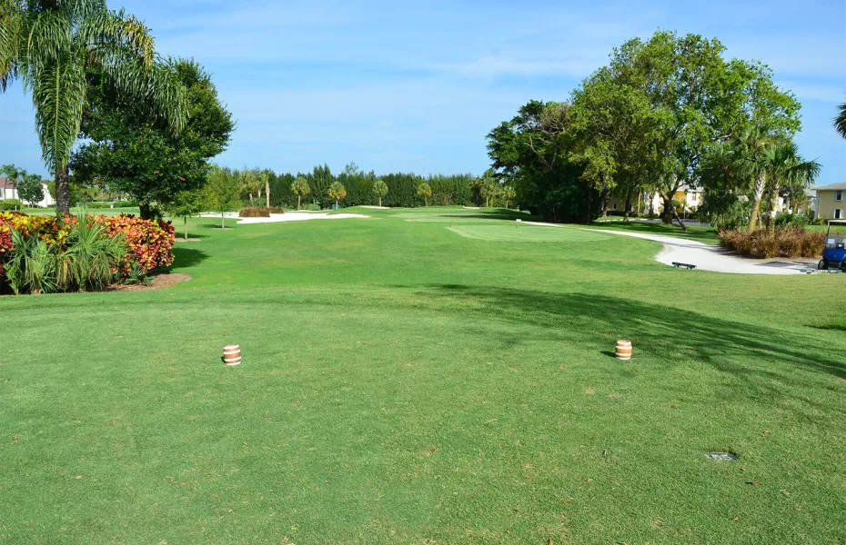 GC of Jupiter: #6