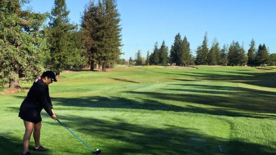 Foxtail GC