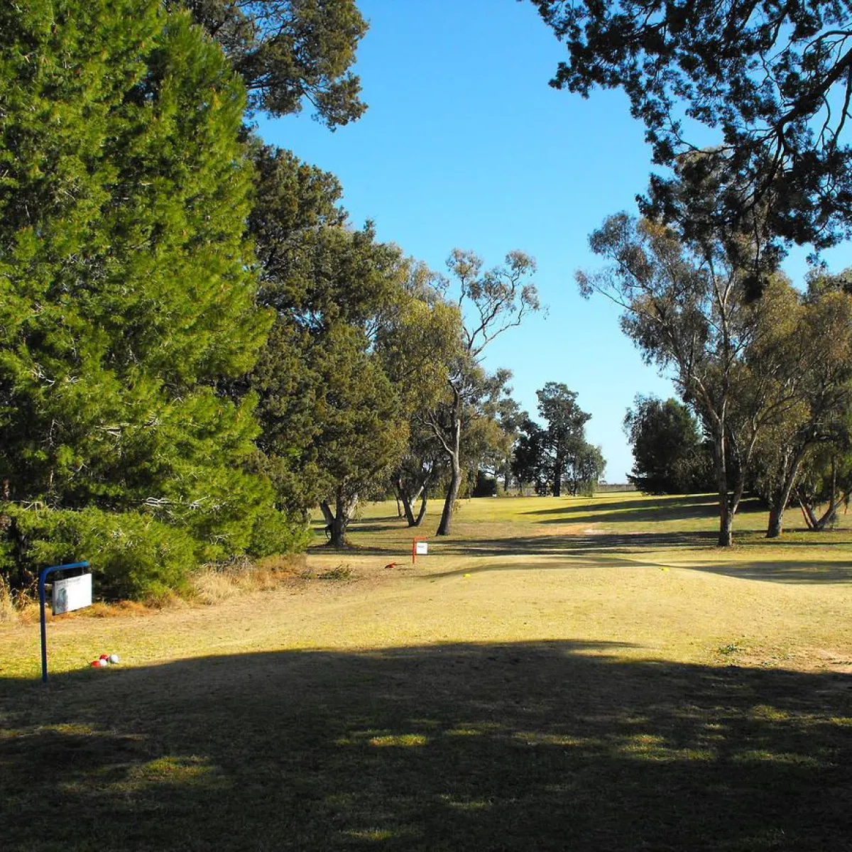 Coleambally Golf Club in Coleambally, The Riverina, Australia GolfPass
