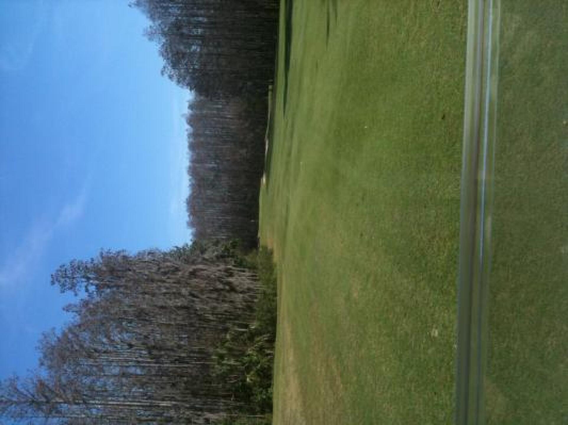 (Photo submitted by Edward8671021 on 01/17/2013)