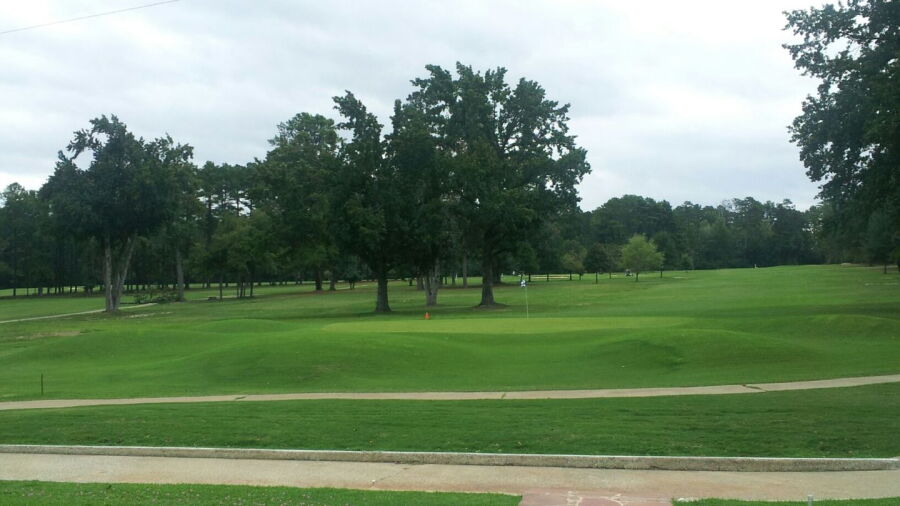 Henderson CC: #9