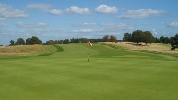 Delamere Forest GC: #17