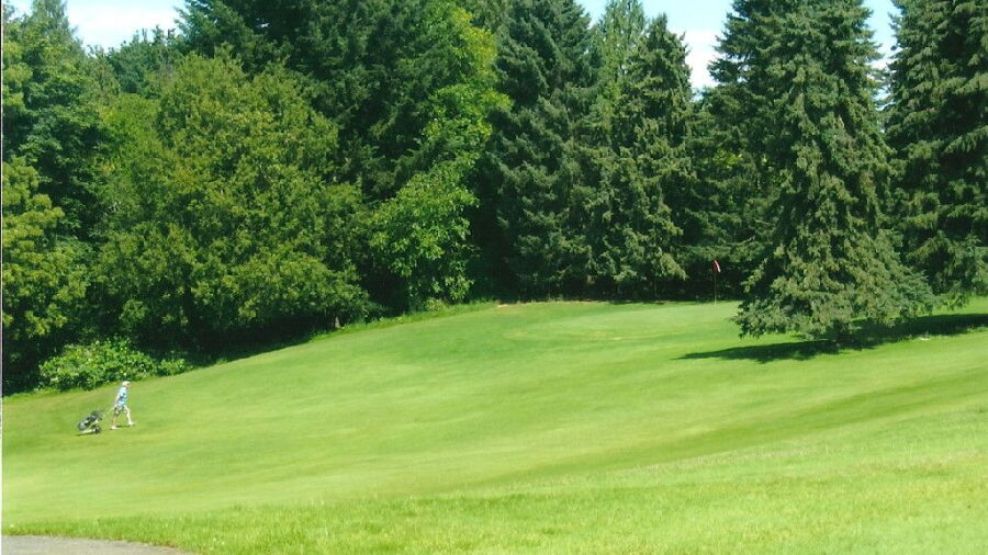 Pine Crest GC: #8